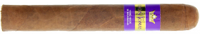 Don Tomas NIC Robusto Bundle