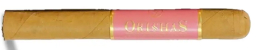 Orishas Ladies and Gentlemen Connecticut 40  