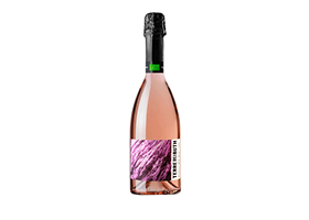 Игристое вино Terre dei Buth Prosecco DOC Rose Brut, 0.75 л.