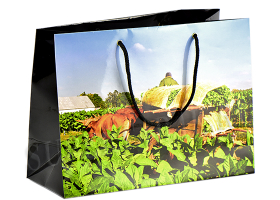 Пакет подарочный "Vega de tabaco" на 10 сигар