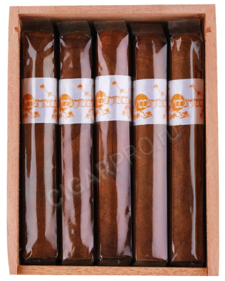 Сигары Principle Accomplice Classic White Band Robusto