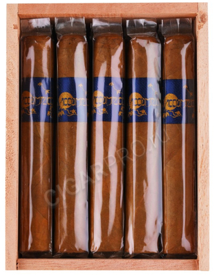 Сигары Principle Accomplice Connecticut Blue Band Robusto