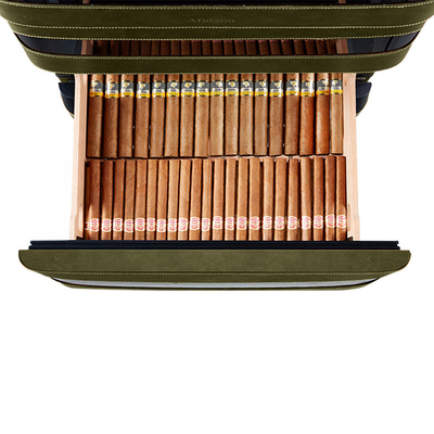 Хьюмидор-холодильник Afidano L5 (Хвойный табак)