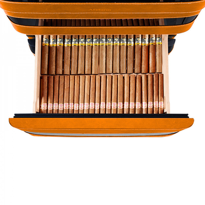 Хьюмидор-холодильник Afidano L5 (Тёплый янтарь)